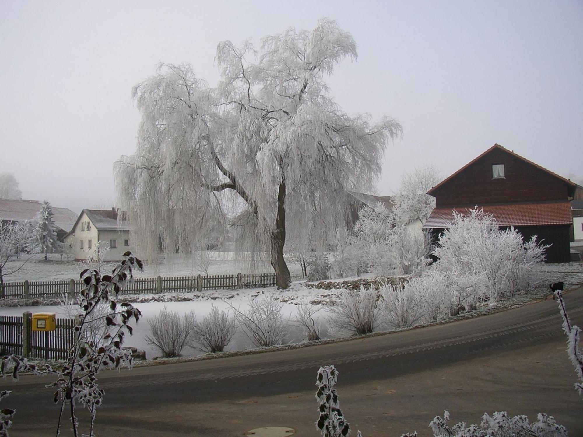 Gasthaus Zur Waldesruh Waffenbrunn Экстерьер фото