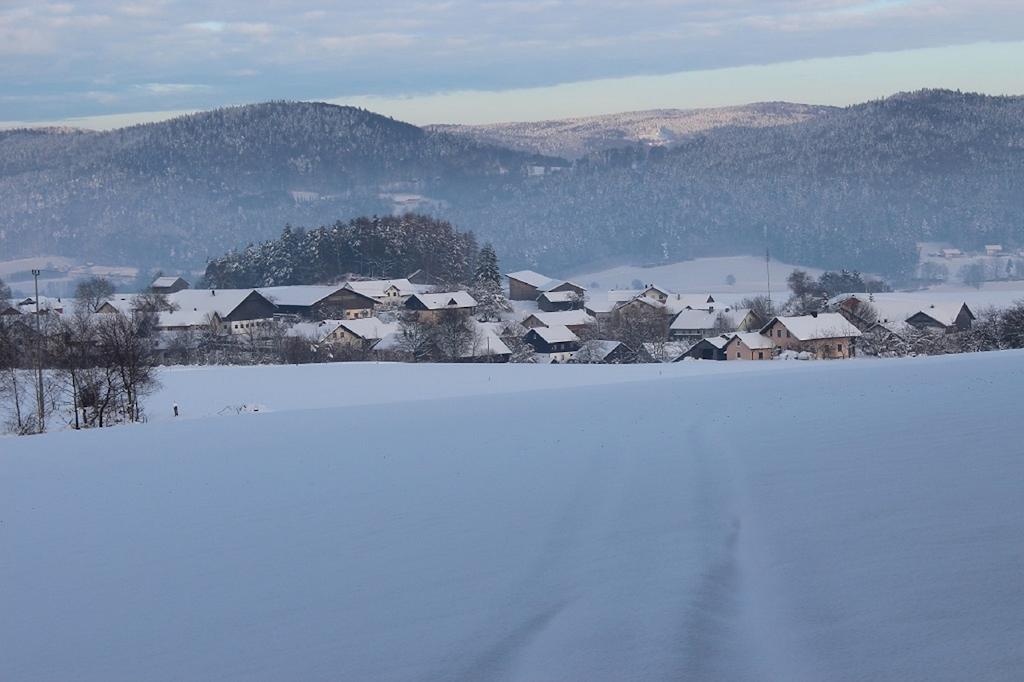 Gasthaus Zur Waldesruh Waffenbrunn Экстерьер фото