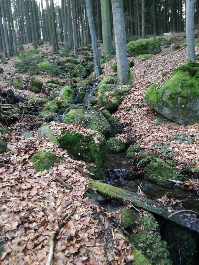 Gasthaus Zur Waldesruh Waffenbrunn Экстерьер фото