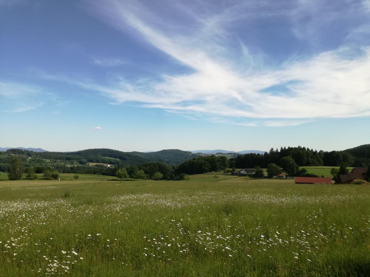 Gasthaus Zur Waldesruh Waffenbrunn Экстерьер фото